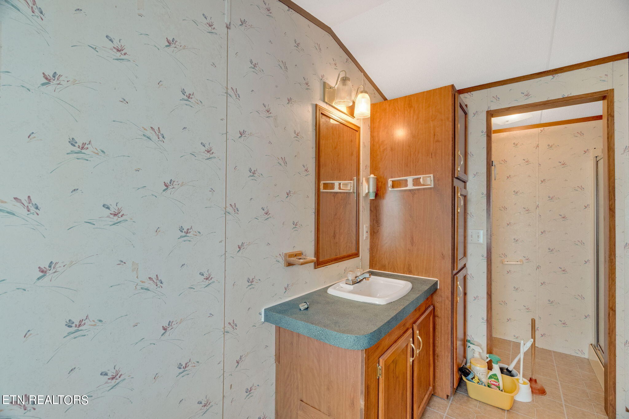 480 Oasis Road Bulls Gap, TN 37711 - Photo 13 of 16 a bathroom with a sink and a mirror