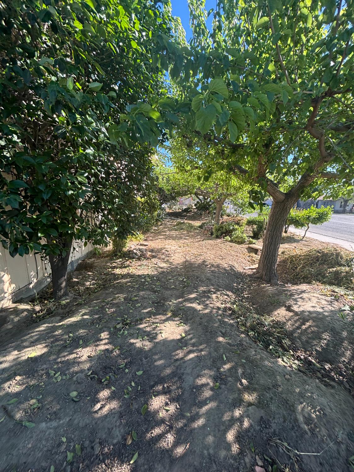 301 East Merced Street Avenal, CA 93204 - Photo 16 of 21
