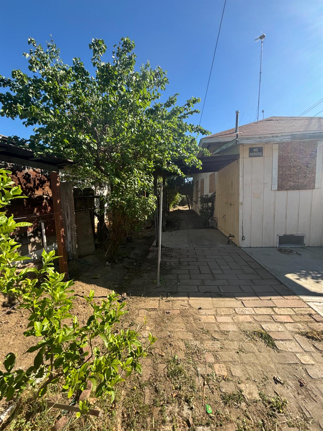 301 East Merced Street Avenal, CA 93204 - Photo 18 of 21 a view of a backyard of the house
