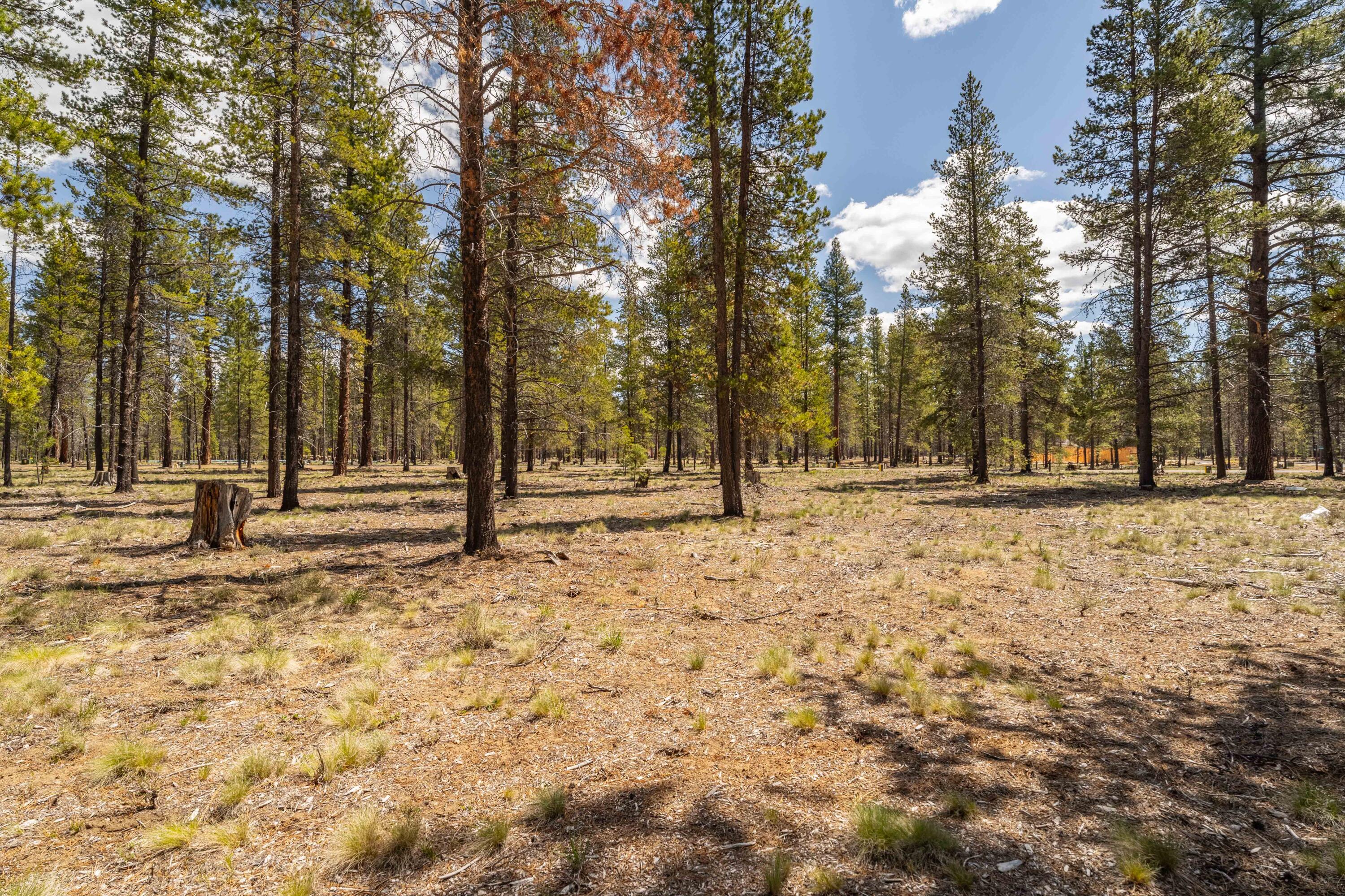 Preservation Loop Bend, Unit 460 Bend, OR 97707 - Photo 8 of 17 DSC02083-HDR