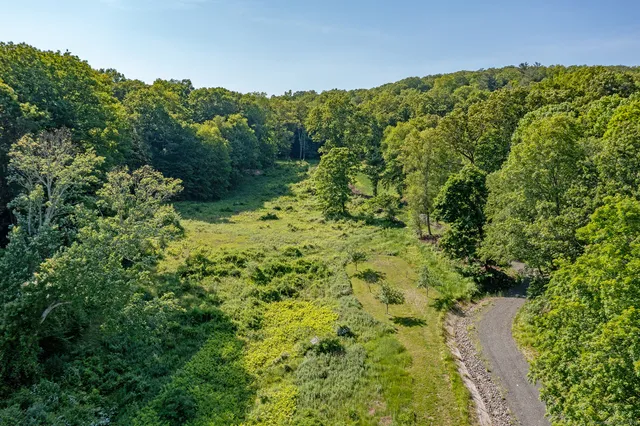 a view of a lush green forest with houses