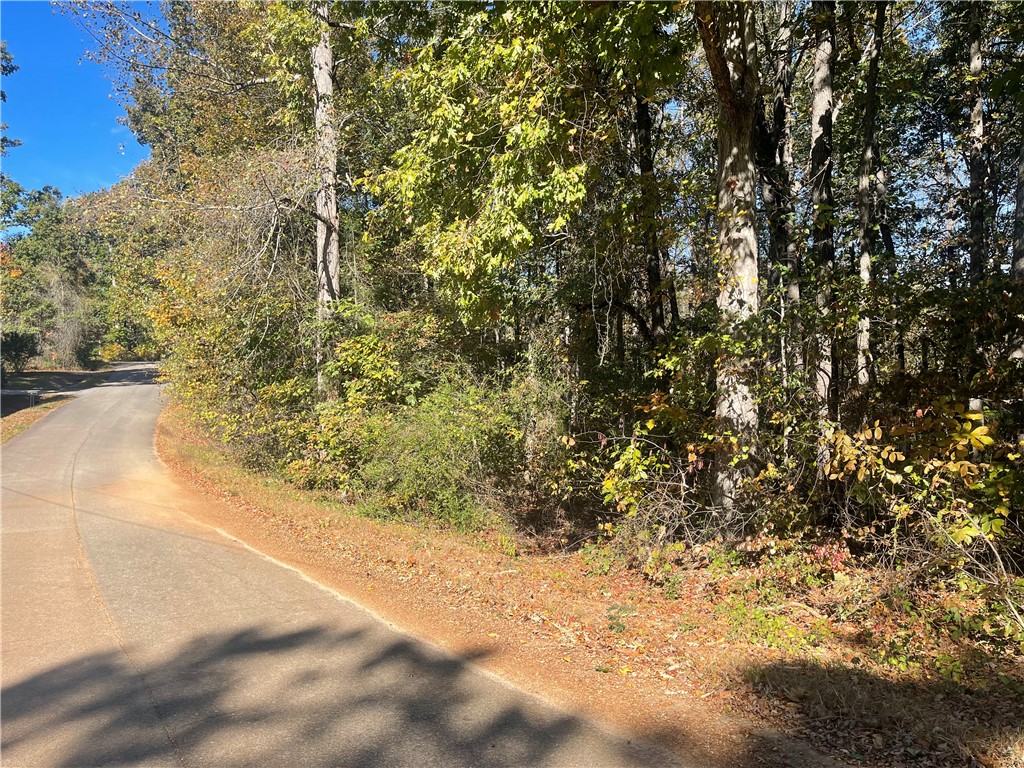 Tract E Vine Road Westminster, SC 29693 - Photo 10 of 11
