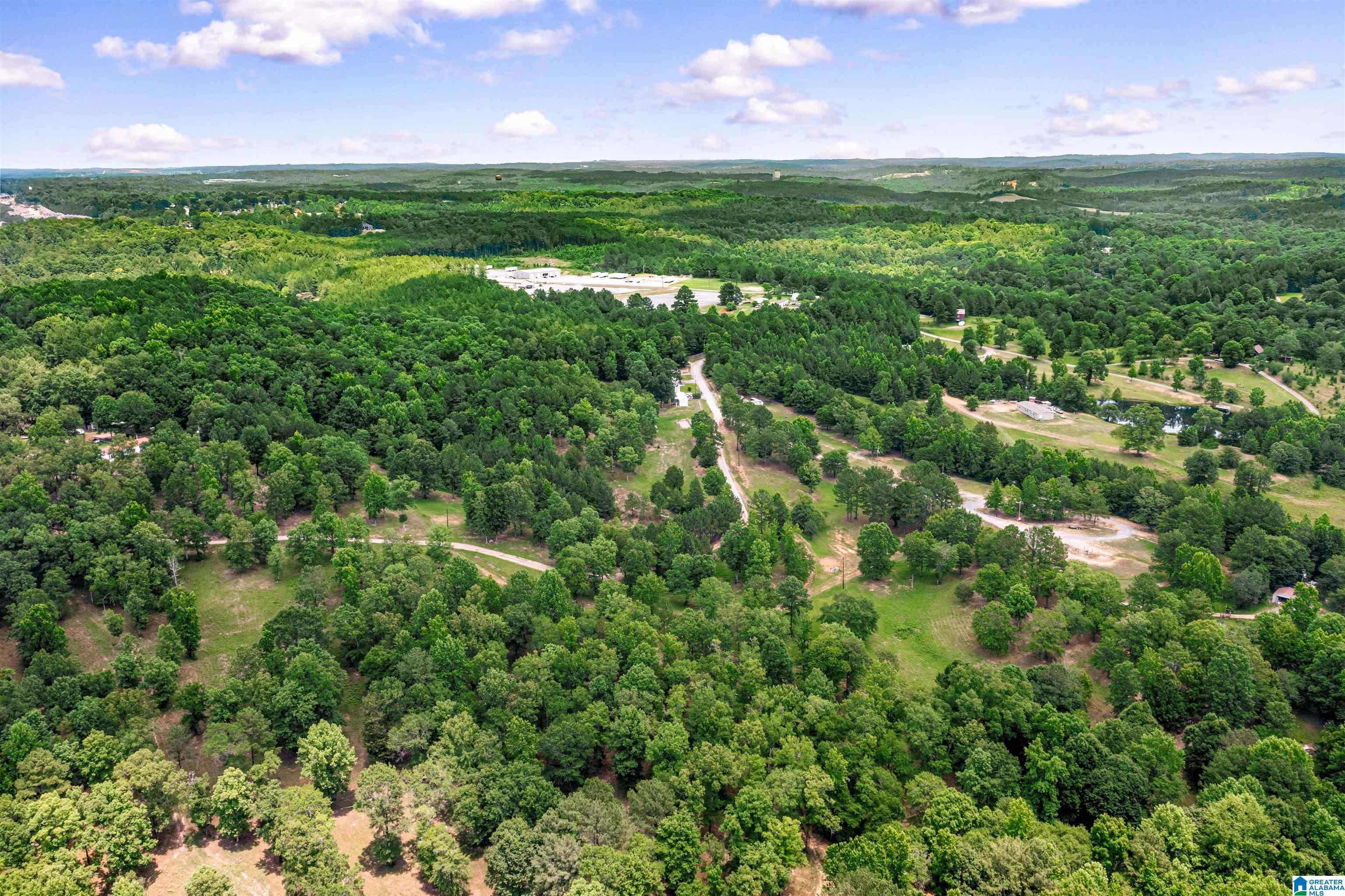 0 Hurricane Valley Road, Unit 1 Brookwood, AL 35444 - Photo 11 of 24