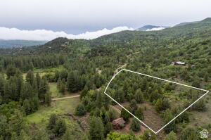 2657 East Oak Tree Drive, Unit 22 Springdale, UT 84767 - Photo 12 of 15 Aerial overview of property's location with a heavily wooded area and property parcel outlined