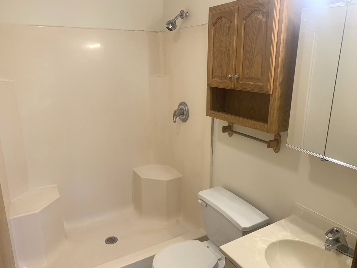 1352 Cunat Court, Unit 2C Lake In The Hills, IL 60156 - Photo 8 of 11 a bathroom with a toilet and a shower