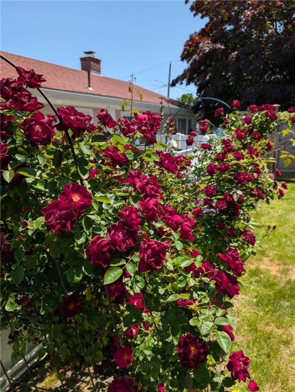 25 Trieste Street Pawtucket, RI 02860 - Photo 26 of 28