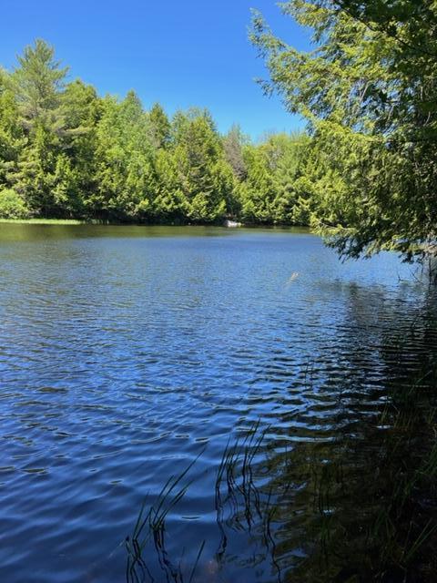 Tbd Stock Farm Road South Paris, ME 04281 - Photo 3 of 39 010-pond