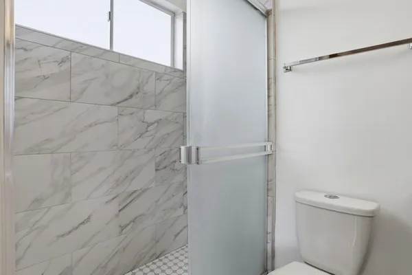 a bathroom with a shower and a toilet