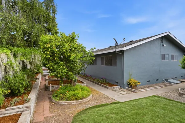 a view of backyard with garden and trees