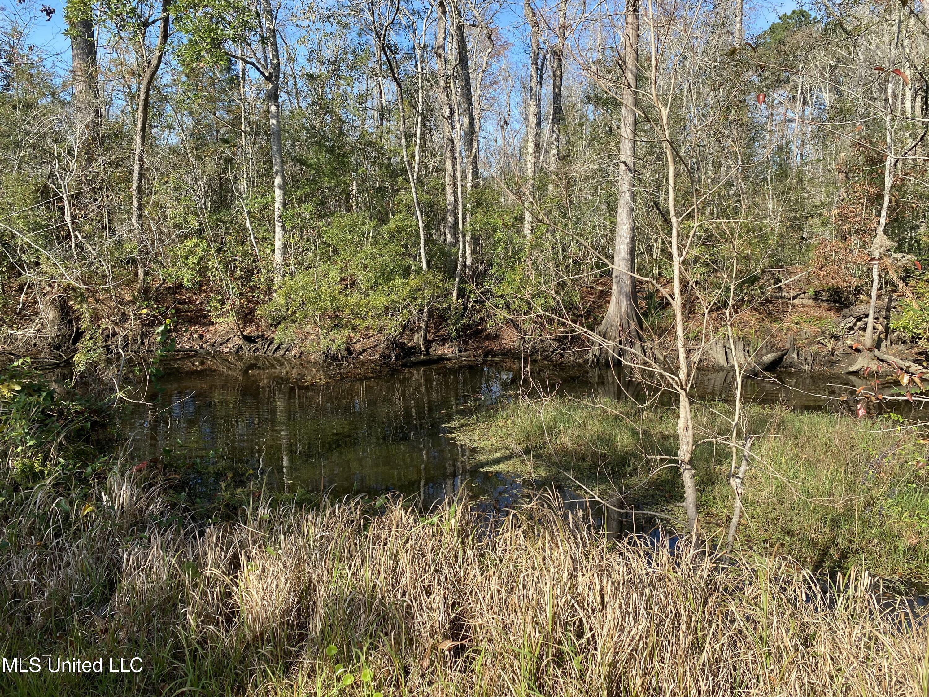 9321 Hardwicke Road Moss Point, MS 39562 - Photo 3 of 4 Hardwicke3