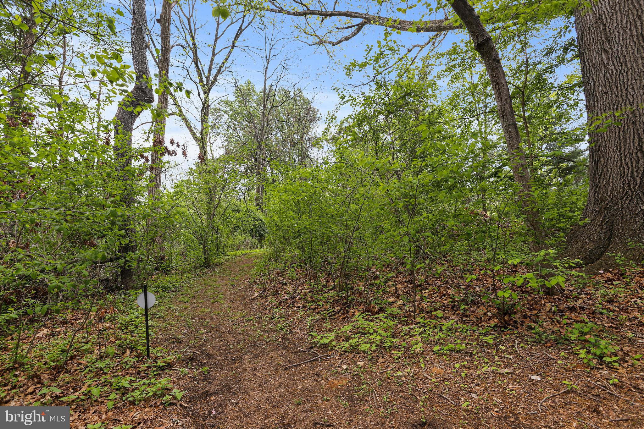 5807 Trotter Road Clarksville, MD 21029 - Photo 54 of 67 Gallery Image 54