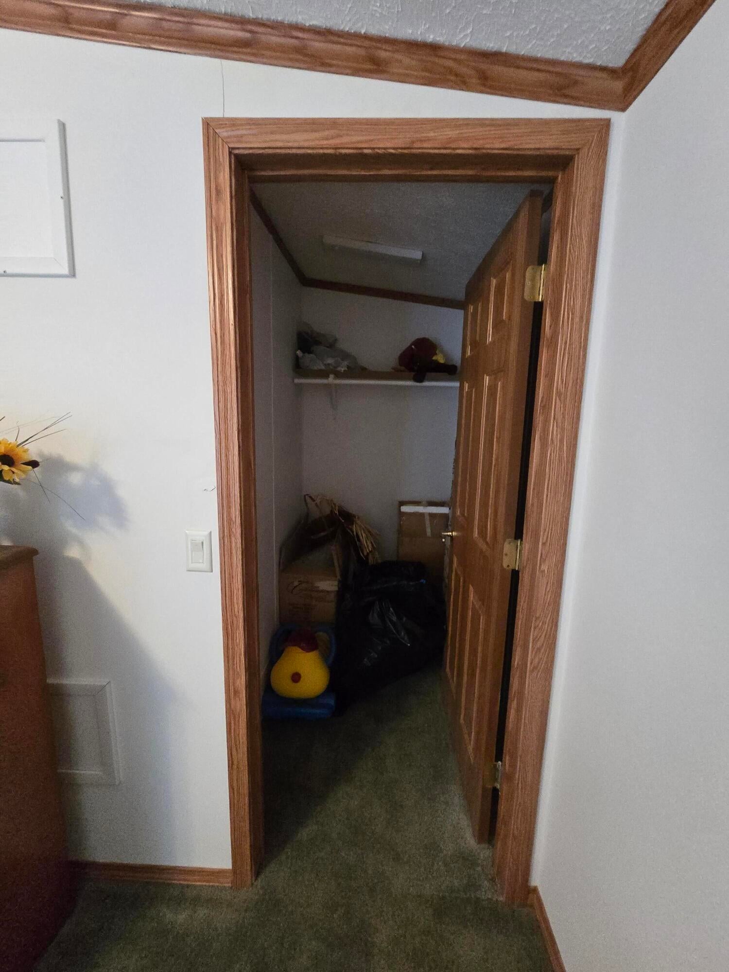 1434 Rogers Road Fairview, MI 48621 - Photo 54 of 103 20251117_124050