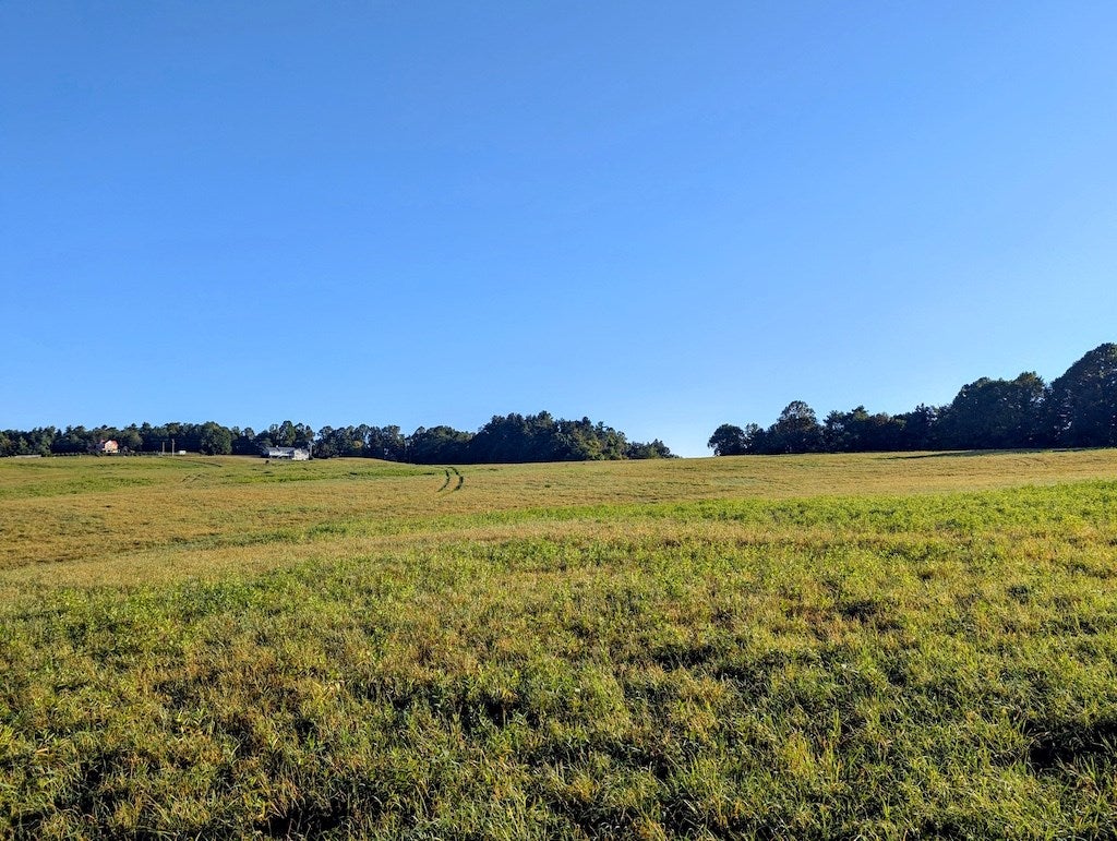 Tbd Daniels Run Road Northeast, Unit 1 Check, VA 24072 - Photo 20 of 24 Gallery Image 20