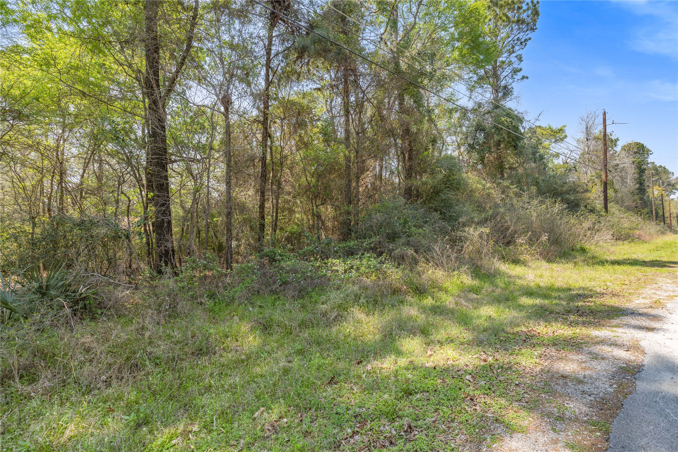 0 Sportsman Drive Trinity, TX 75862 - Photo 4 of 9