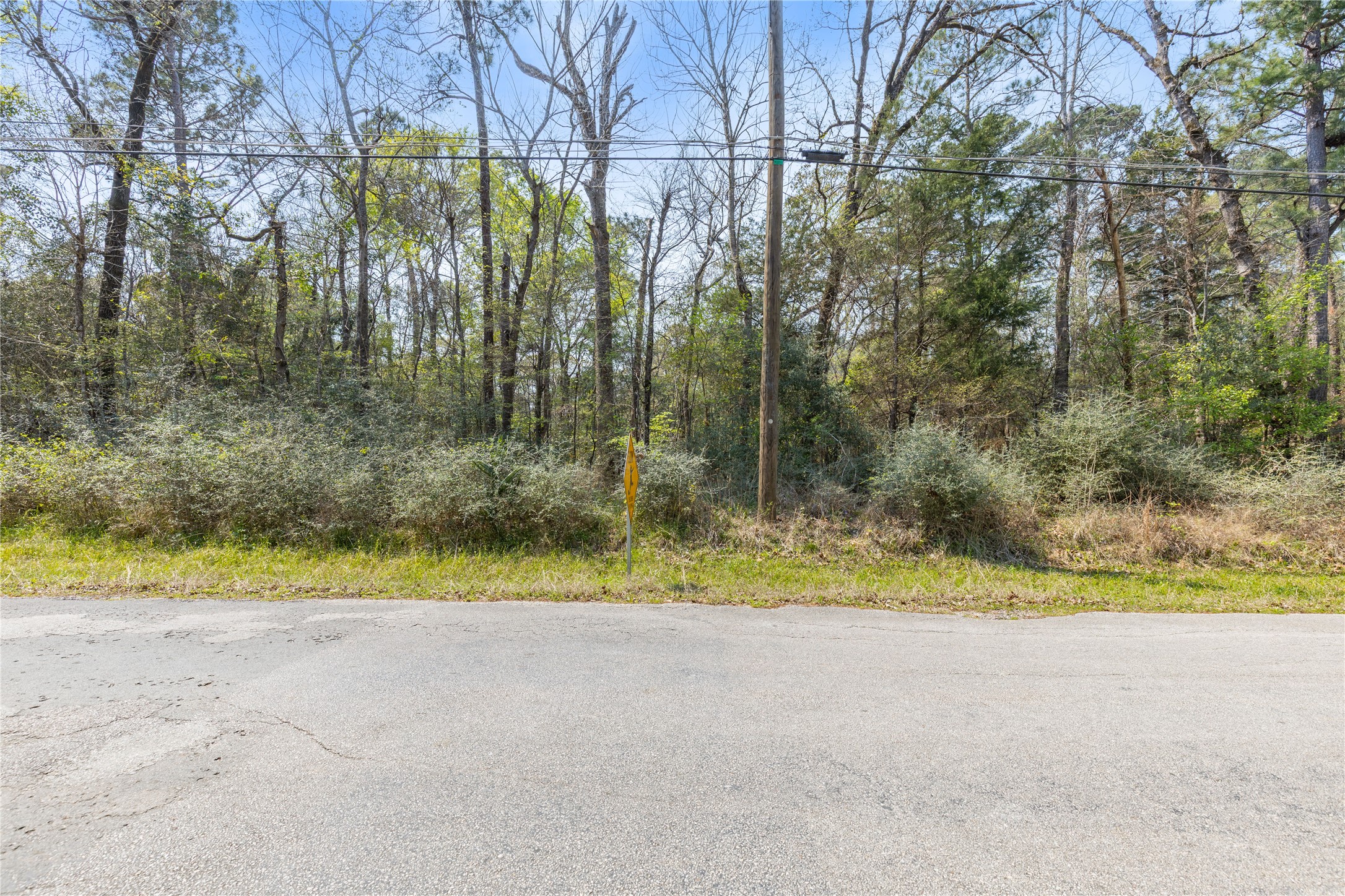 0 Sportsman Drive Trinity, TX 75862 - Photo 7 of 9