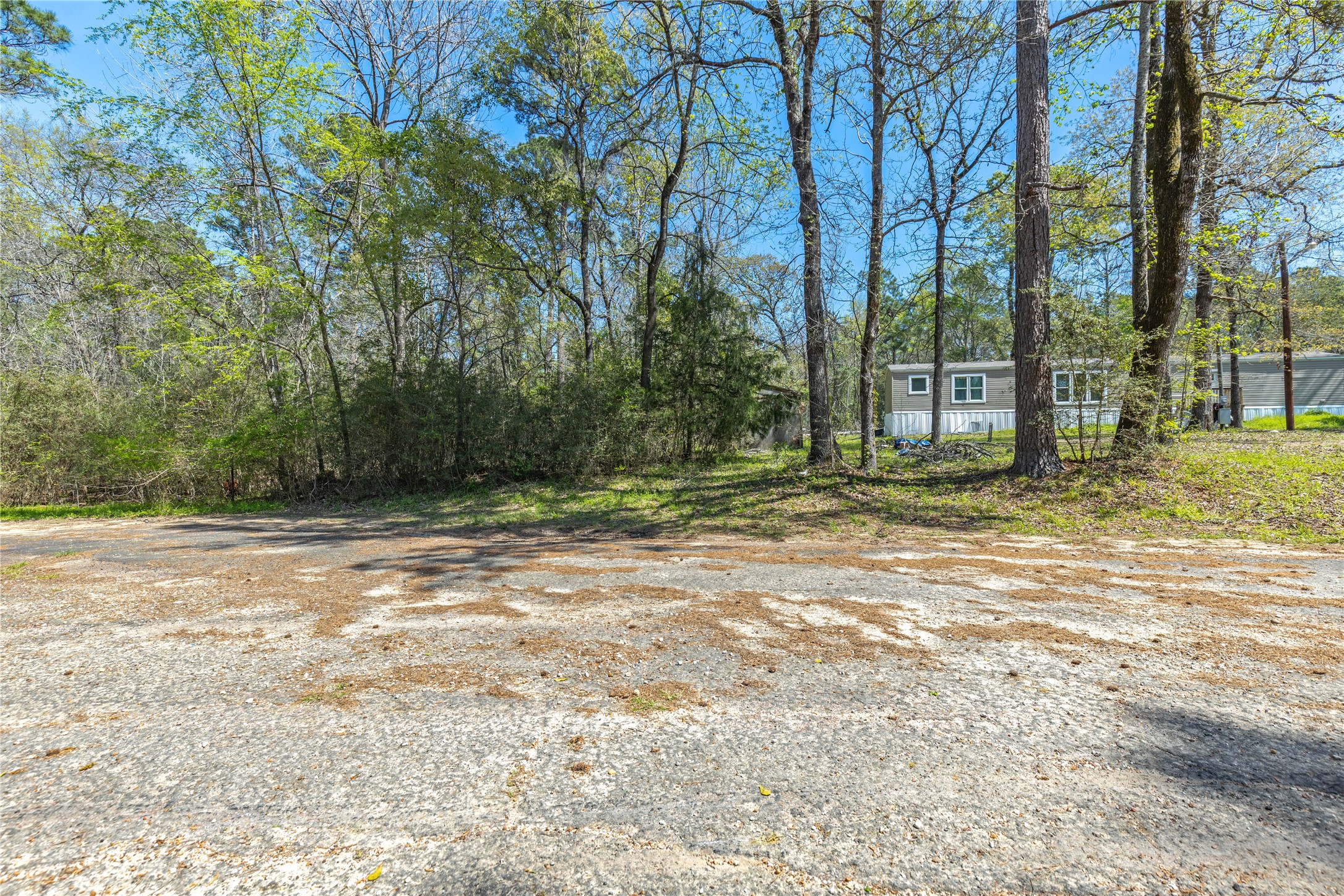 0 Sportsman Drive Trinity, TX 75862 - Photo 9 of 9