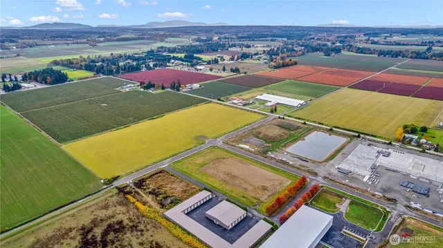 a view of an outdoor space with lounge chair