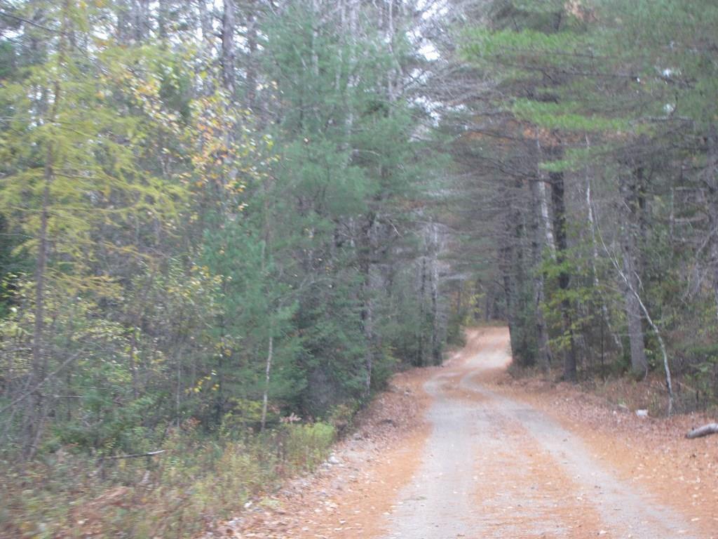 X Pretty Pond Road Wesley, ME 04686 - Photo 2 of 3 Photo