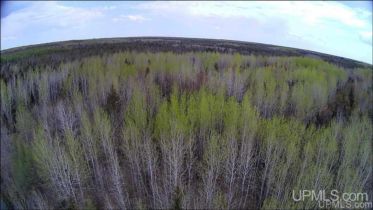Tbd Tbd Co Road, Unit 1 Marquette, MI 49855 - Photo 6 of 50