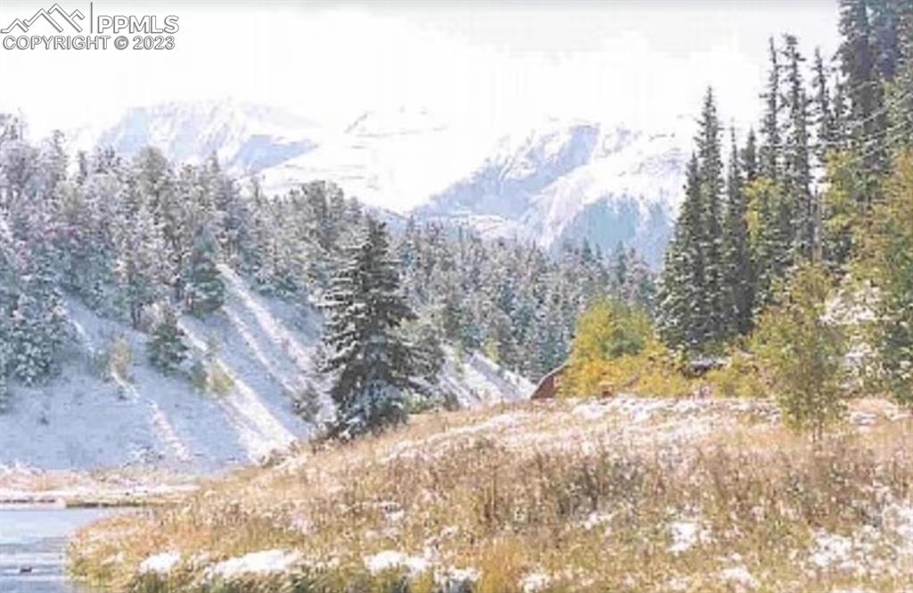 1313 Spring Valley Drive Divide, CO 80814 - Photo 23 of 25 a view of mountain view with lots of trees
