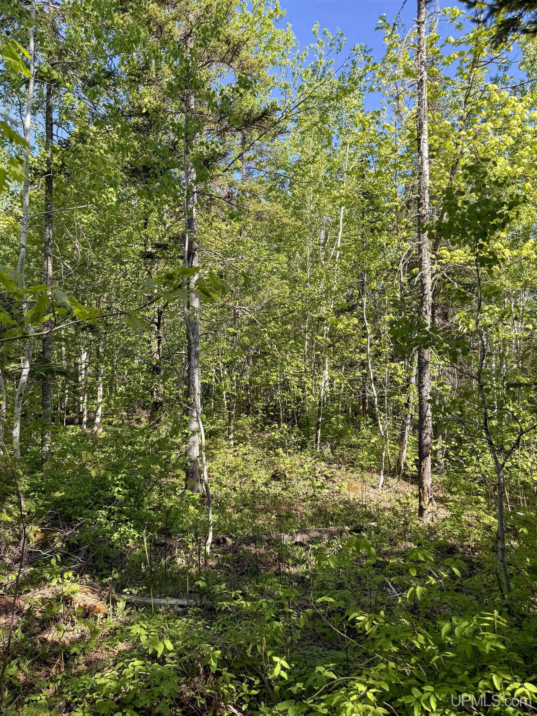 Lot A Gratiot River Road Calumet, MI 49913 - Photo 10 of 35