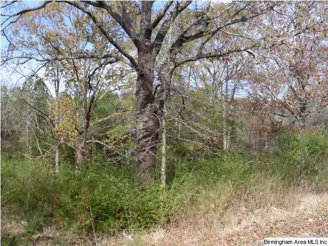 Eureka Road, Unit 1 8 Lincoln, AL 35096 - Photo 1 of 5