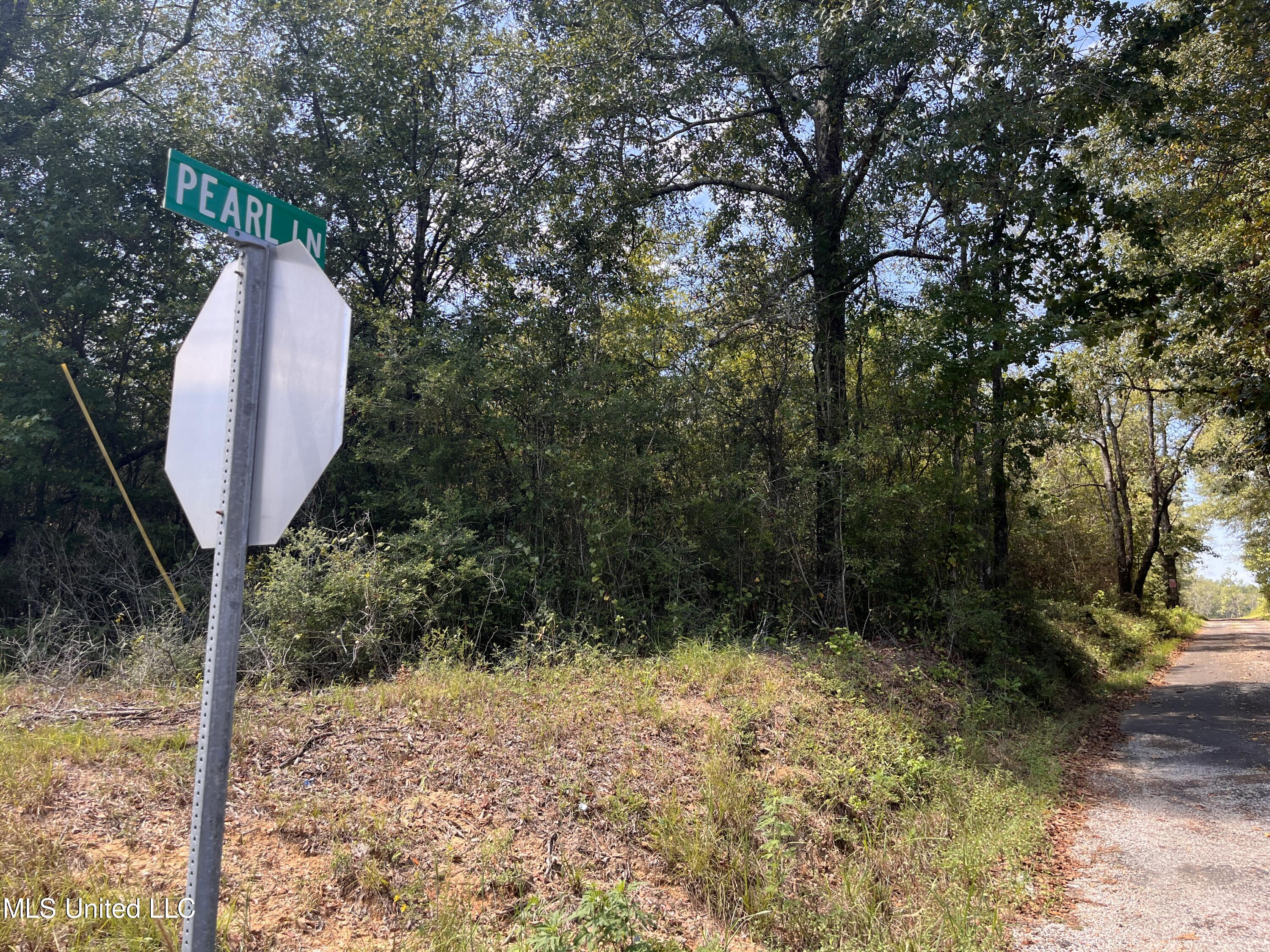 Gladhurst Road Magnolia, MS 39652 - Photo 2 of 6 IMG_3692