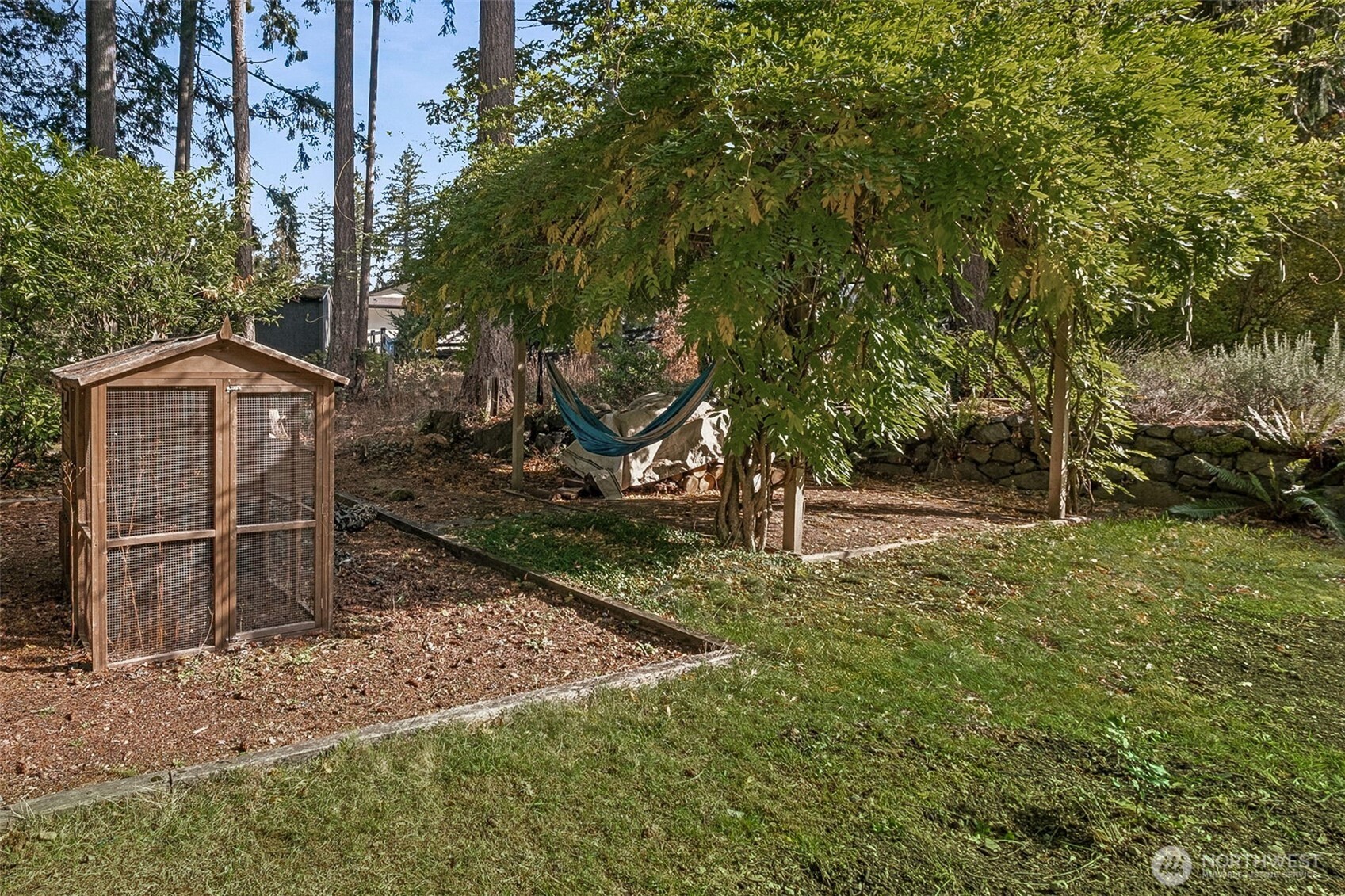 21720 Southeast 246th Street Maple Valley, WA 98038 - Photo 33 of 38 a view of backyard with trees