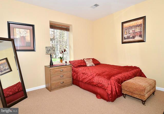 47555 Rippling Drive Sterling, VA 20165 - Photo 12 of 28 5th Bedroom in Walk-out Lower Level