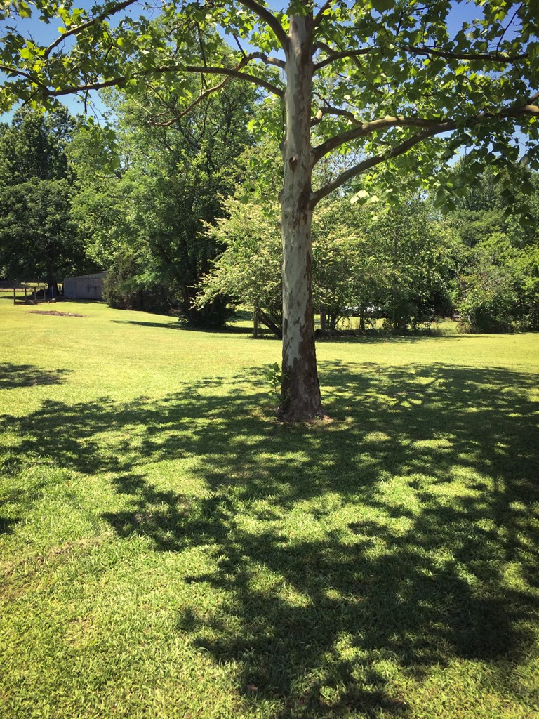 5539 Coxville Road Thomson, GA 30824 - Photo 8 of 10