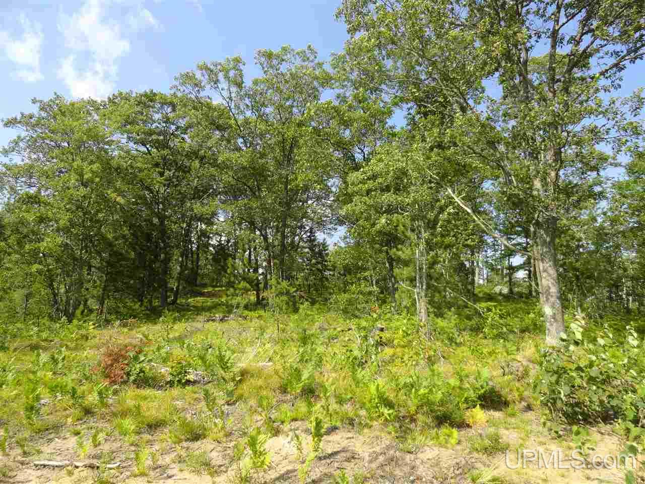 143-acres County Rd FF Republic, MI 49879 - Photo 14 of 18