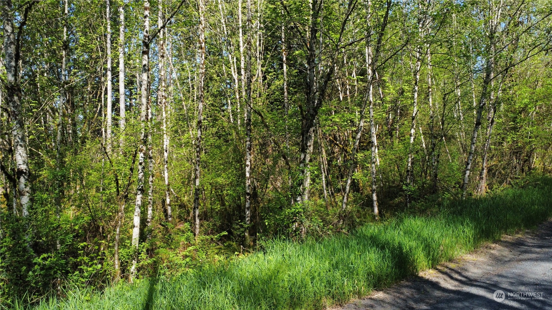 0 Snodgrass Road Onalaska, WA 98570 - Photo 9 of 10 Gallery Image 9