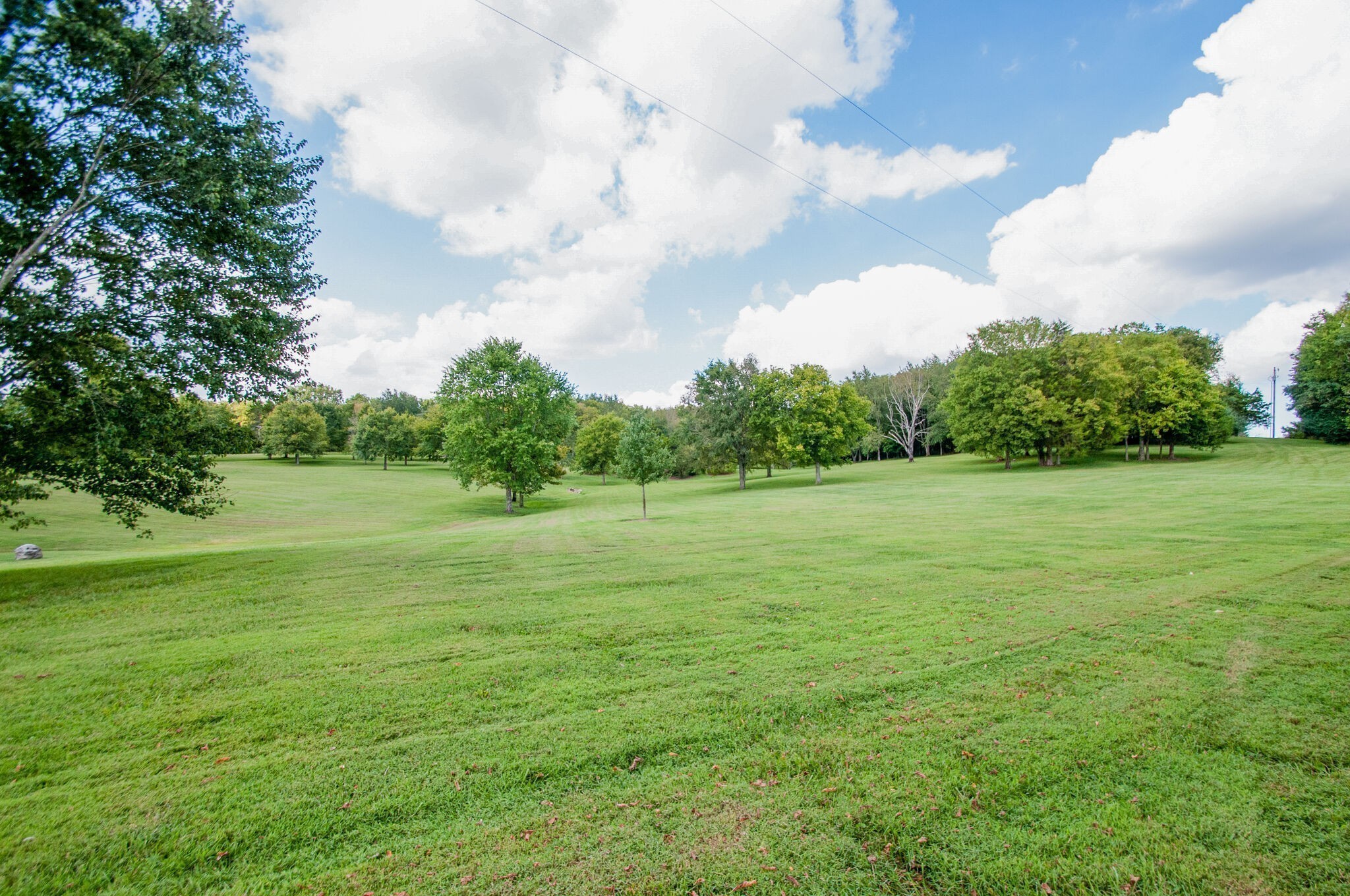 1103 Tulloss Road Franklin, TN 37067 - Photo 38 of 42