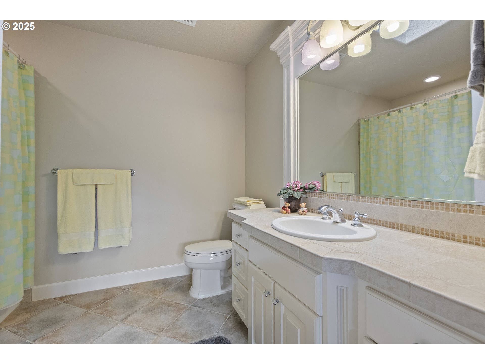 24800 Southwest Big Fir Road West Linn, OR 97068 - Photo 28 of 48 a bathroom with a sink a toilet and a mirror