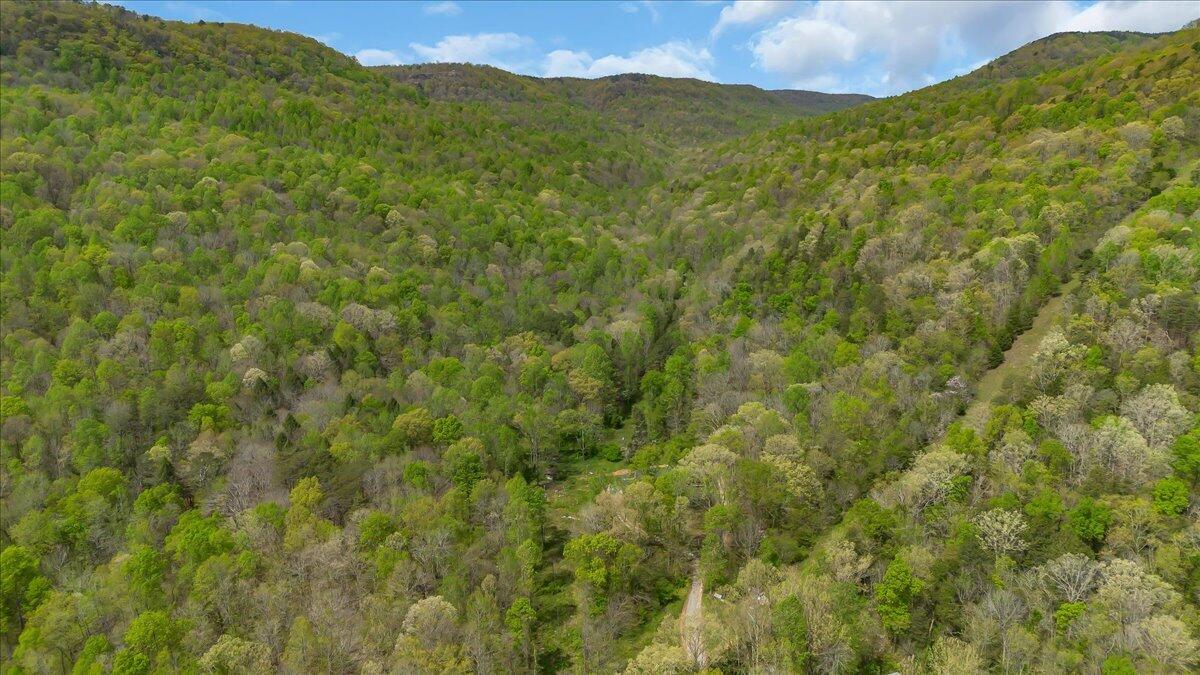 360 Dixon Cove Road Sequatchie, TN 37374 - Photo 33 of 42 35-DJI_0061
