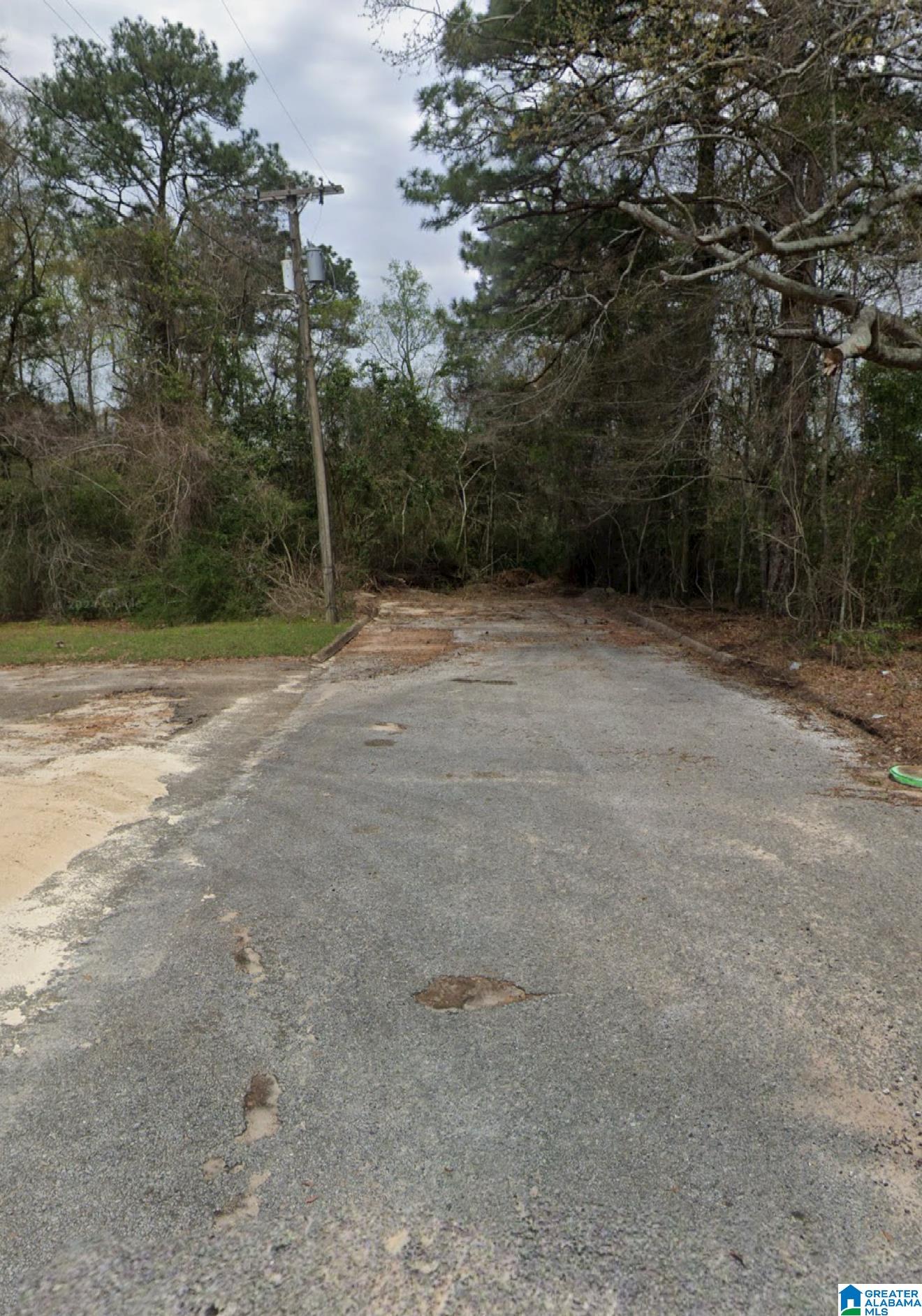 0 Brundidge Street, Unit 52 ACRES Opp, AL 36467 - Photo 1 of 1
