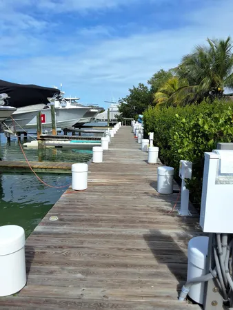 a view of a balcony with two chairs and a potted plant