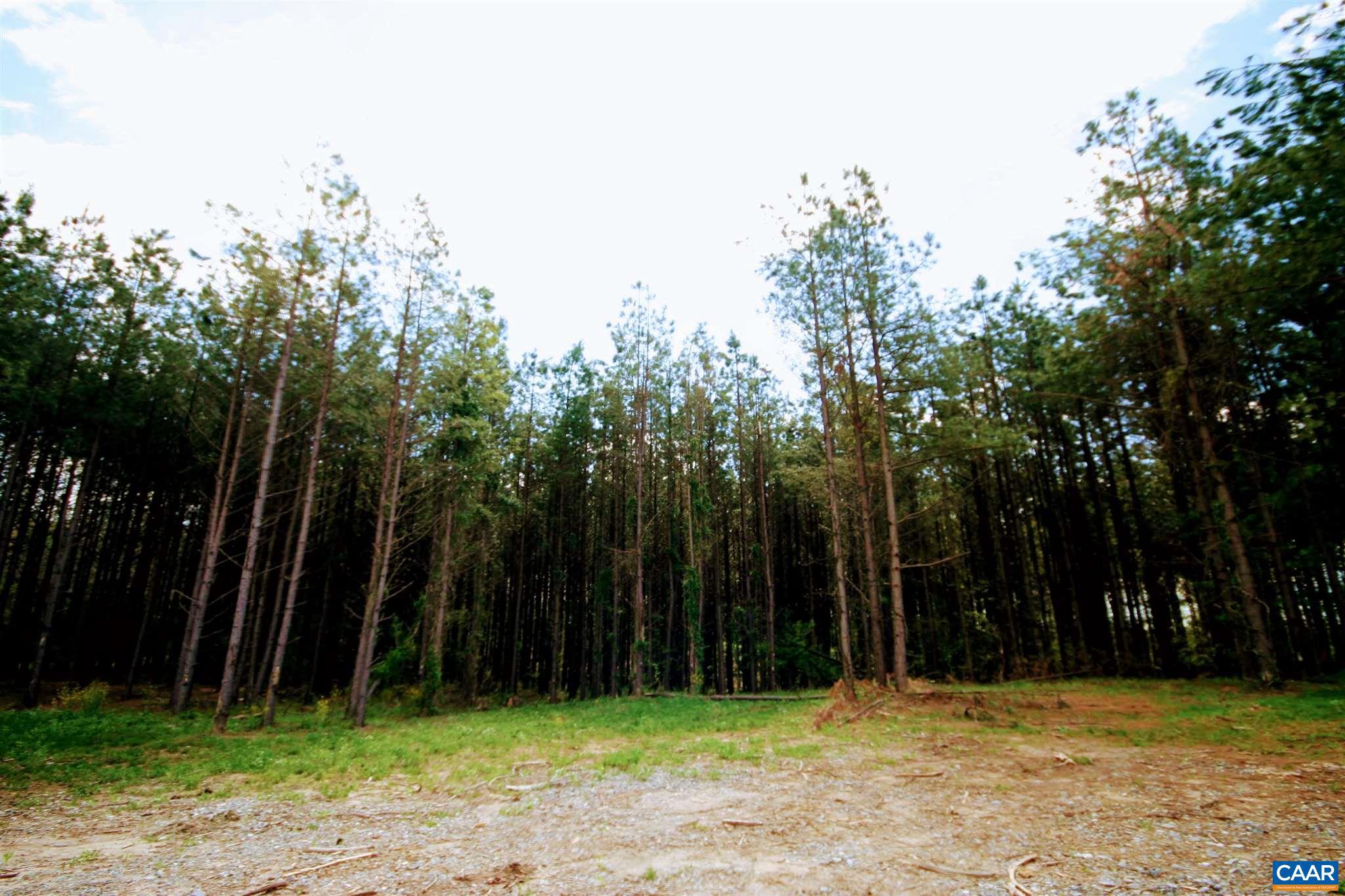 Tba Lot 2 Tba Road, Unit LOT 2 Orange, VA 22960 - Photo 5 of 23