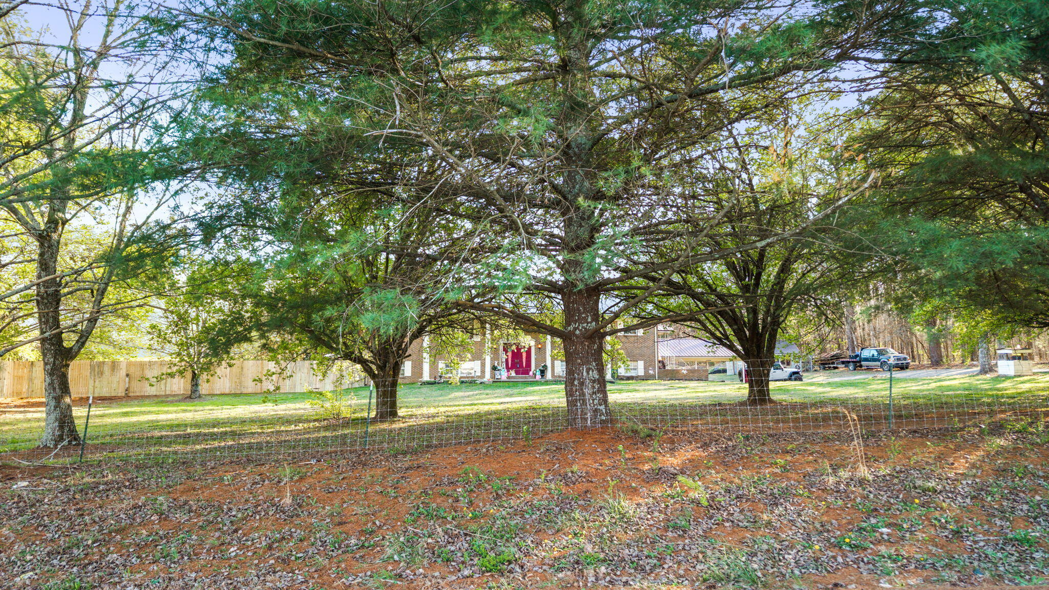 4356 Trewhitt Road Southeast Cleveland, TN 37323 - Photo 73 of 82 75-web-or-mls-DJI_20260324061610_0725_D