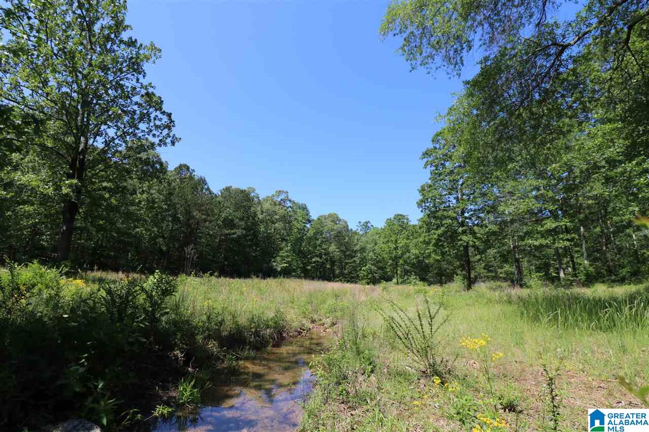 144 Rodeo Drive Pell City, AL 35128 - Photo 18 of 27