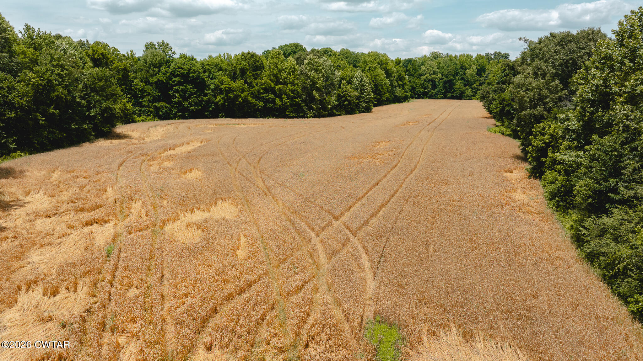 0 Will Young Road Greenfield, TN 38230 - Photo 8 of 17 DJI_20260602203823_0004_D