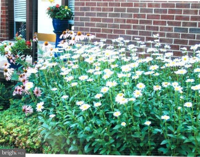 8111 Inverness Ridge Road Potomac, MD 20854 - Photo 15 of 17 a picture of flowers