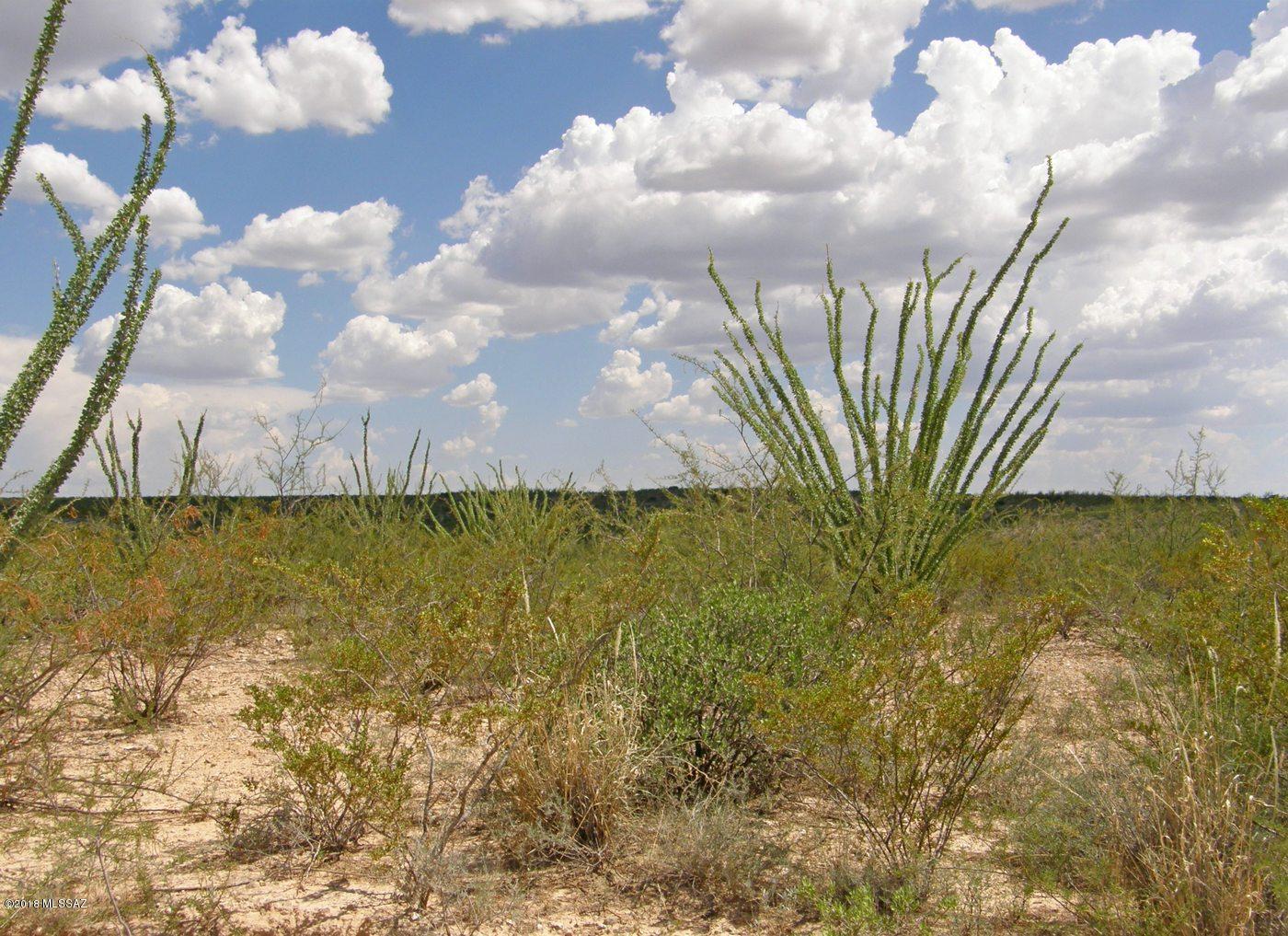 Lot 218 East Dragoon Ranch Road, Unit 218 St. David, AZ 85630 - Photo 8 of 16