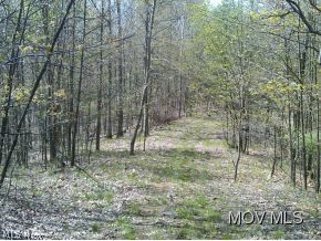 0 Bear Run Road Cairo, WV 26337 - Photo 2 of 24