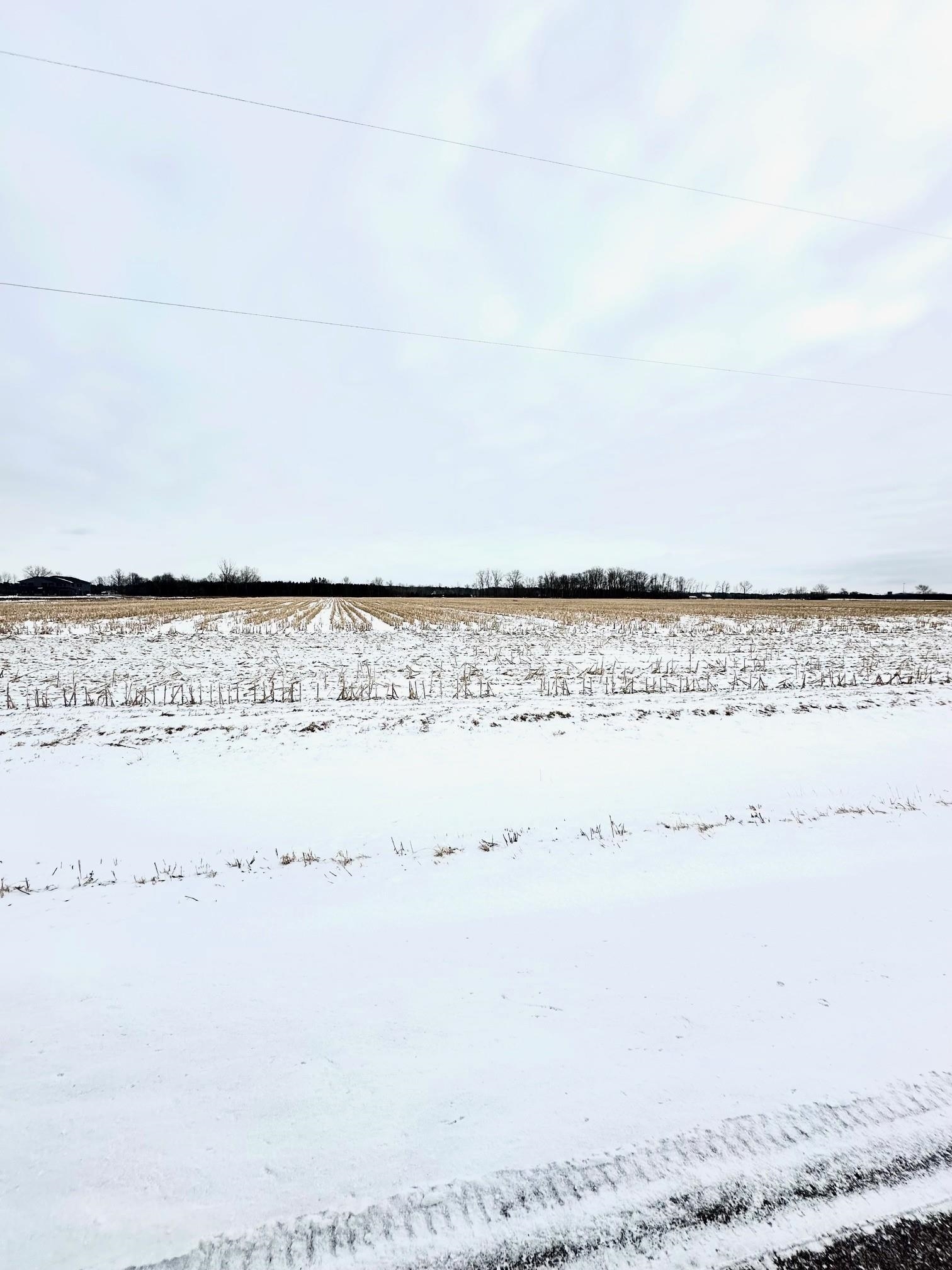 Woodside Drive Pulaski, WI 54162 - Photo 3 of 3