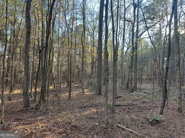 $100,000 | 3016 Trammel Bottom Road, Hogansville, GA 30230