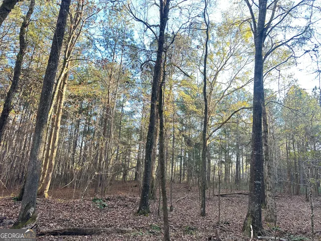 $100,000 | 3016 Trammel Bottom Road, Hogansville, GA 30230