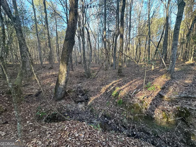 $100,000 | 3016 Trammel Bottom Road, Hogansville, GA 30230