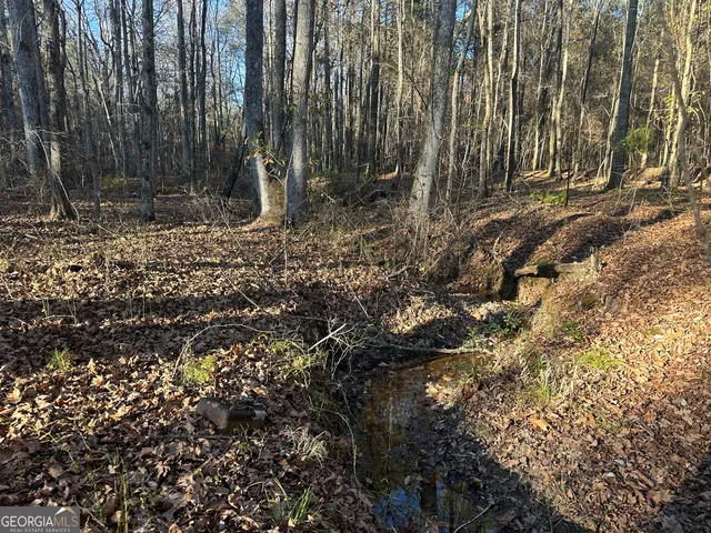 $100,000 | 3016 Trammel Bottom Road, Hogansville, GA 30230