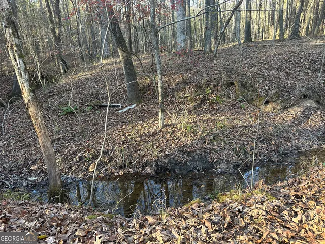 $100,000 | 3016 Trammel Bottom Road, Hogansville, GA 30230